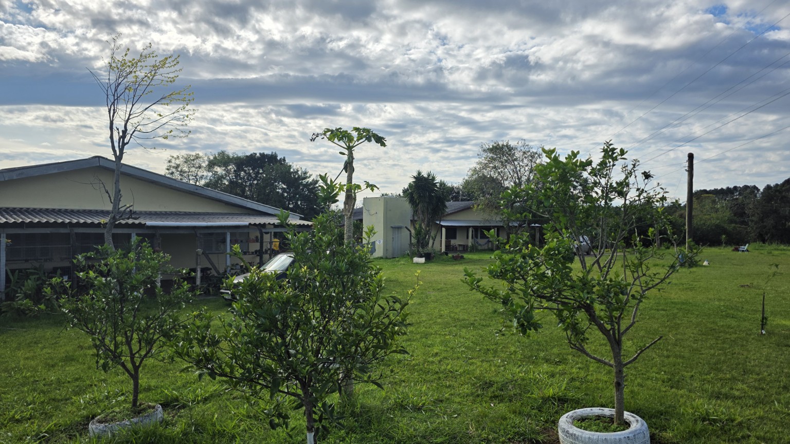 Área verde ampla do SRT El Shaday, com árvores frutíferas e as residências ao fundo